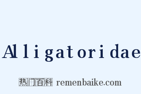 Alligatoridae是什么意思的图片